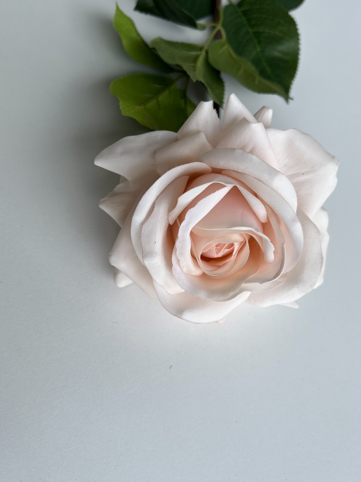 Real touch rose stem latex roses soft pink flowers fresh touch faux flowers x 1