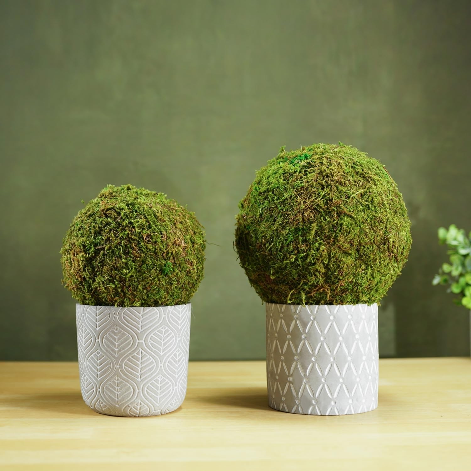 Small Potted Fake Moss Ball Artificial Plants Topiaries for Shelf Home Office…