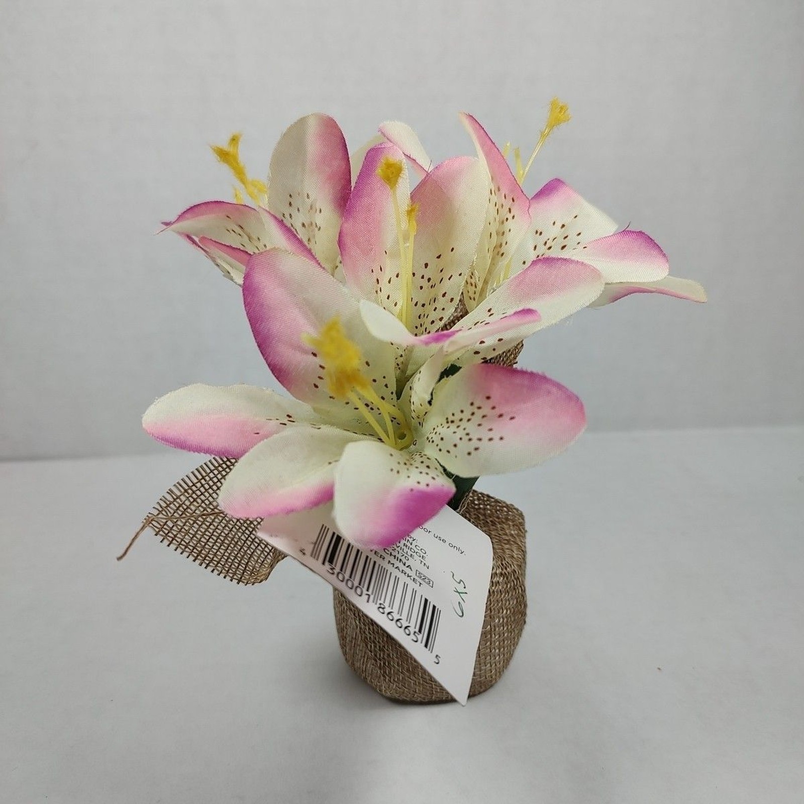 Trueliving Floral Arrangement Flower Bouquet Mini Potted Plant 6″ x 5″ Lily