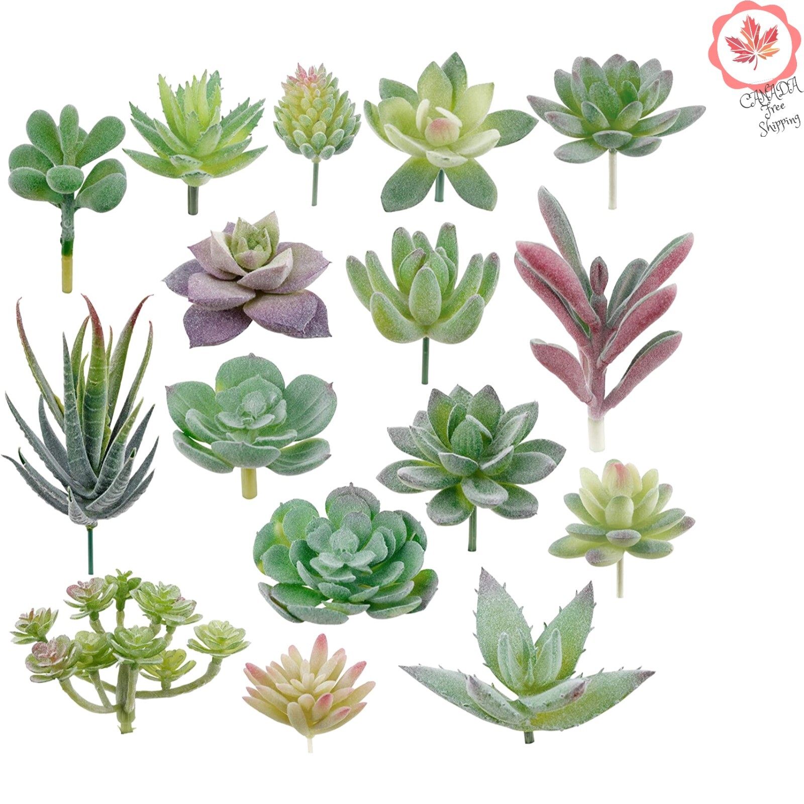 16 Pack Hassle-Free Flocked Succulent Plants – Fresh, No Maintenance Decoration