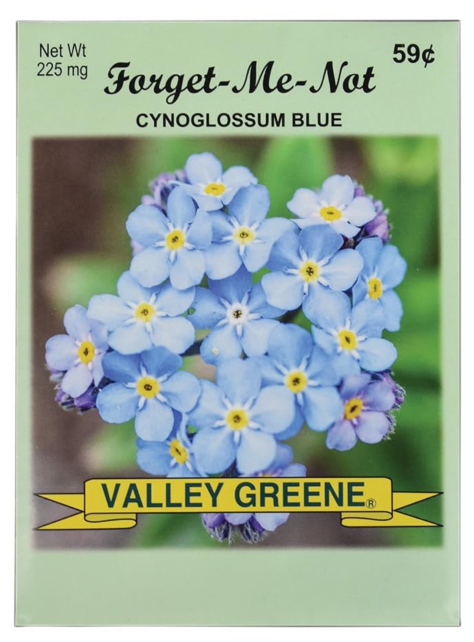 Bulk Forget Me Not Flower Seed Packets 50 Green Seed Packets for Planting
