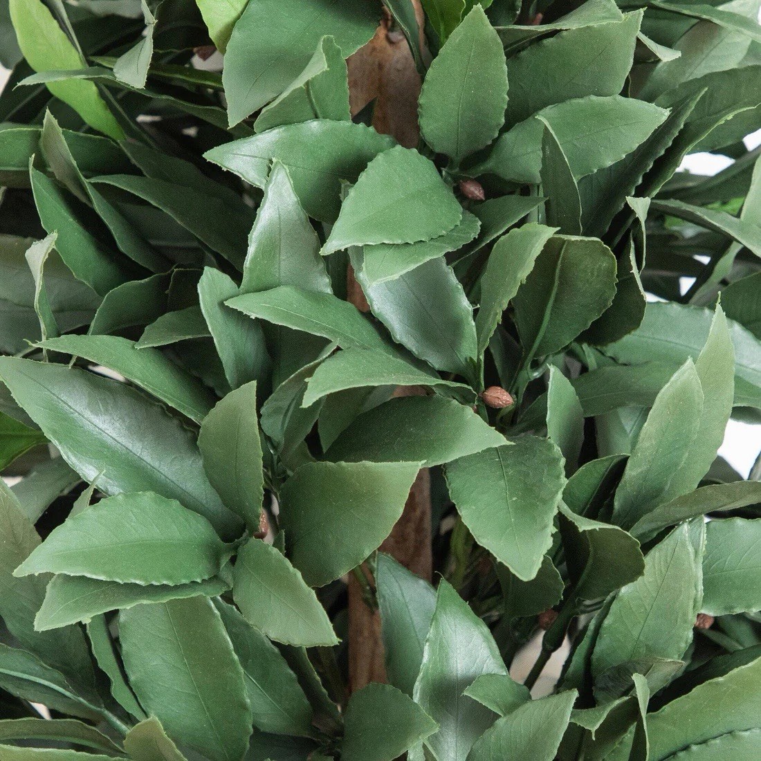 3′ UV Artificial Laurel Plant with Integrated Ground Stake (Indoor/Outdoor)