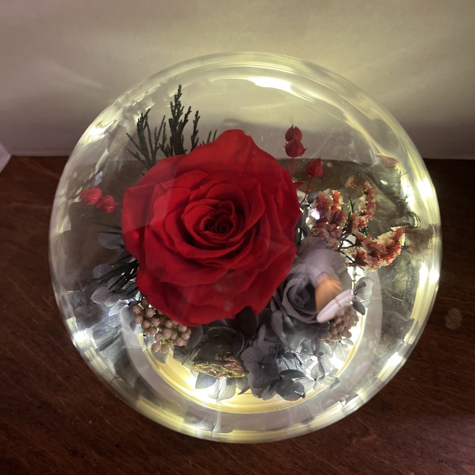 Light Up Fresh Preserved Roses