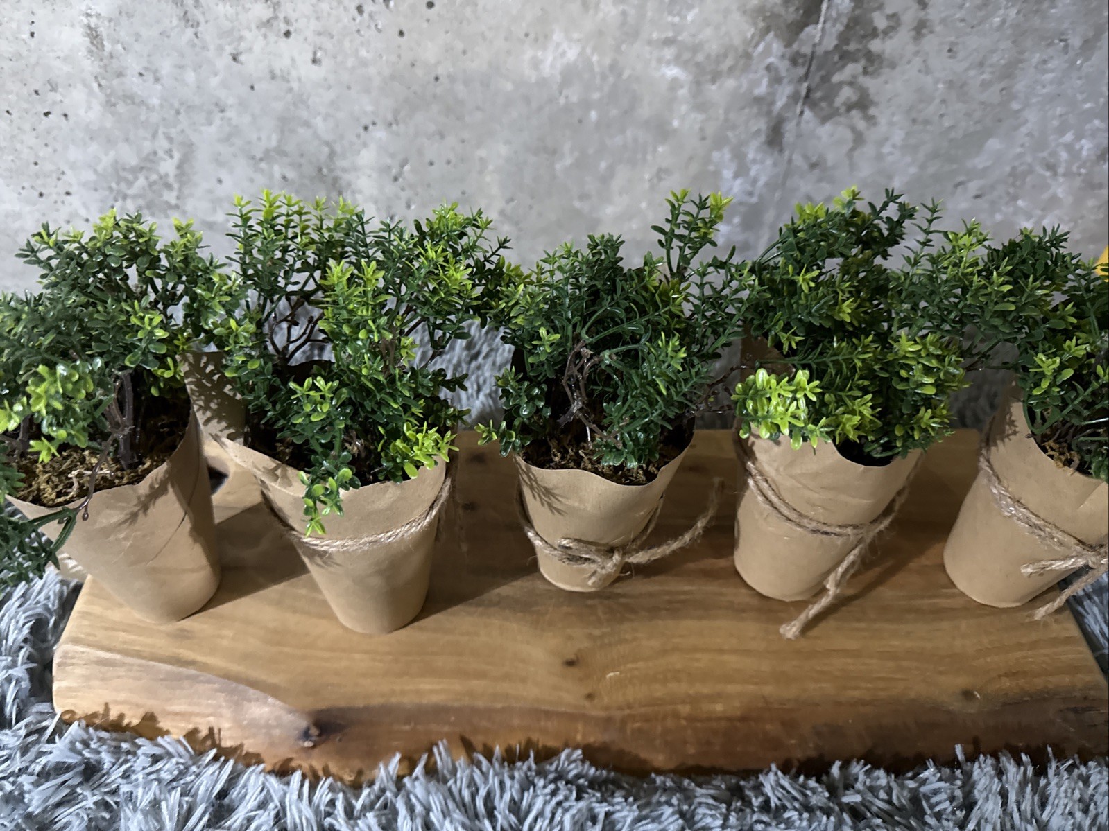 set of 5 faux plants