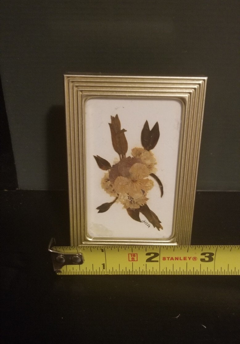 Small 2 3/8″ X 3 3/8″ Press Dried Flower #9 Multicolors Framed FF25