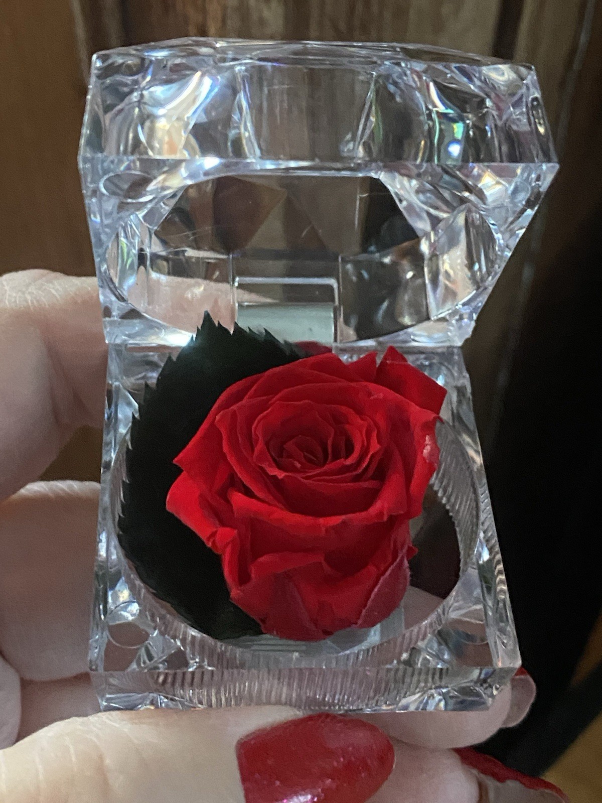 Preserved Rose Real Forever Rose in Mini Clear Ring Box, Eternal RED Rose NEW