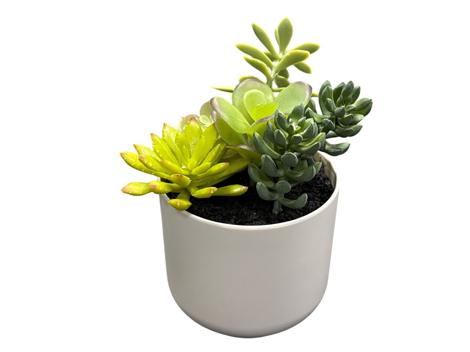 Threshold Artificial Succulent Plants In White Ceramic Pot For Home & Office Dec