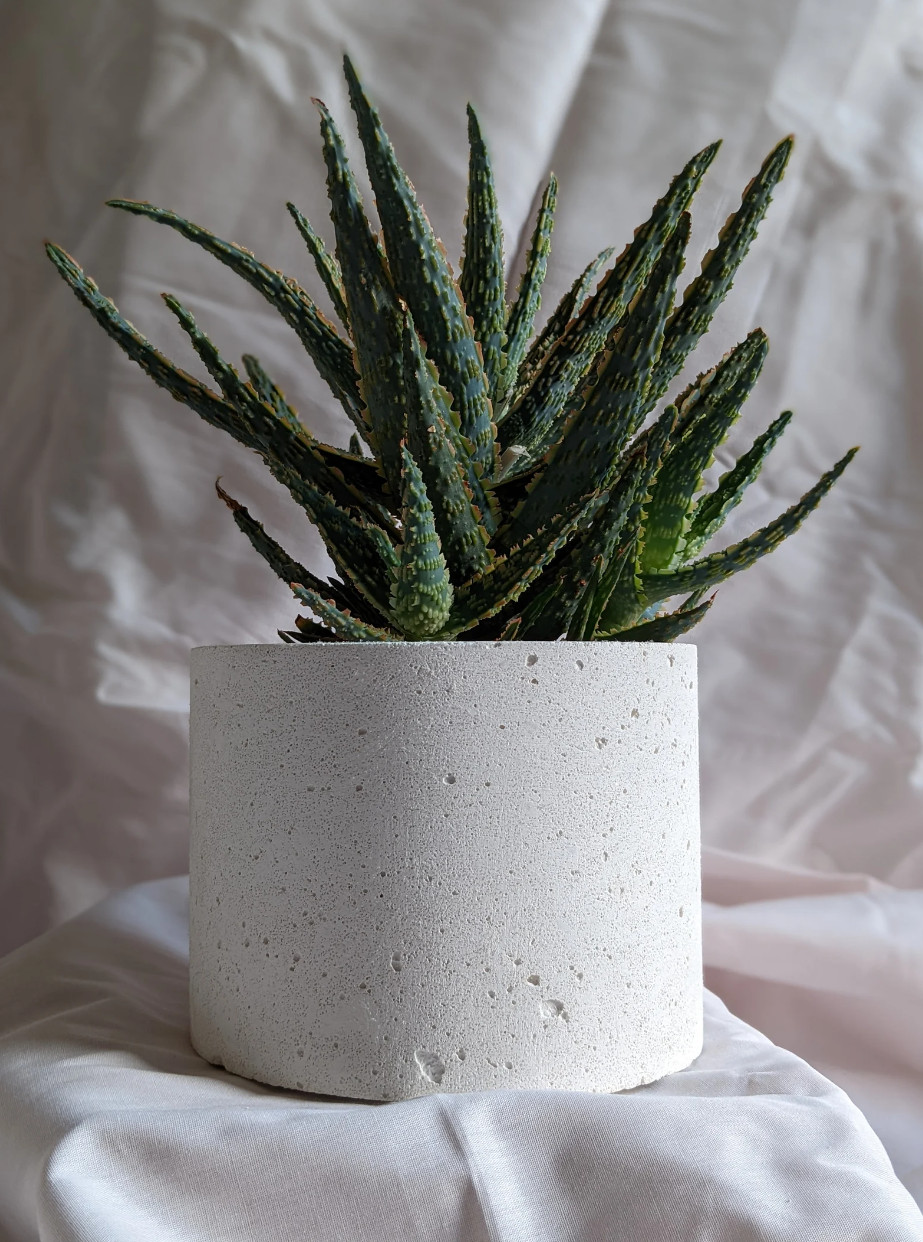 White Minimalist Concrete Planter With Drainage Hole – Natural, Gift, Home Decor