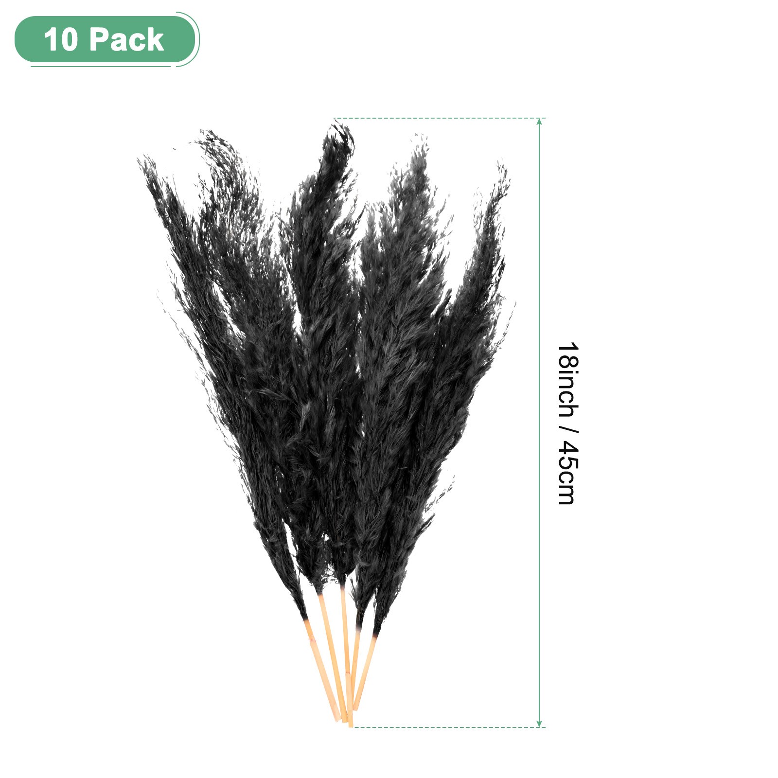 10-Pack Faux Pampas Grass 18 Inch for Home Decor/Wedding [Black]