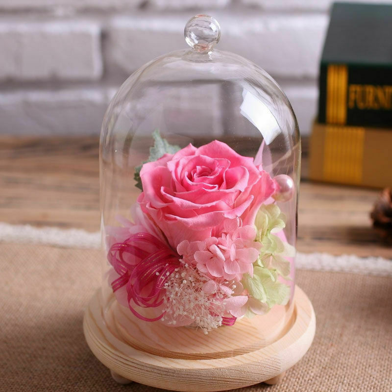7.87″ Glass Display Bell Jar Dome Cloche Base Decorative Stand Immortal Flower