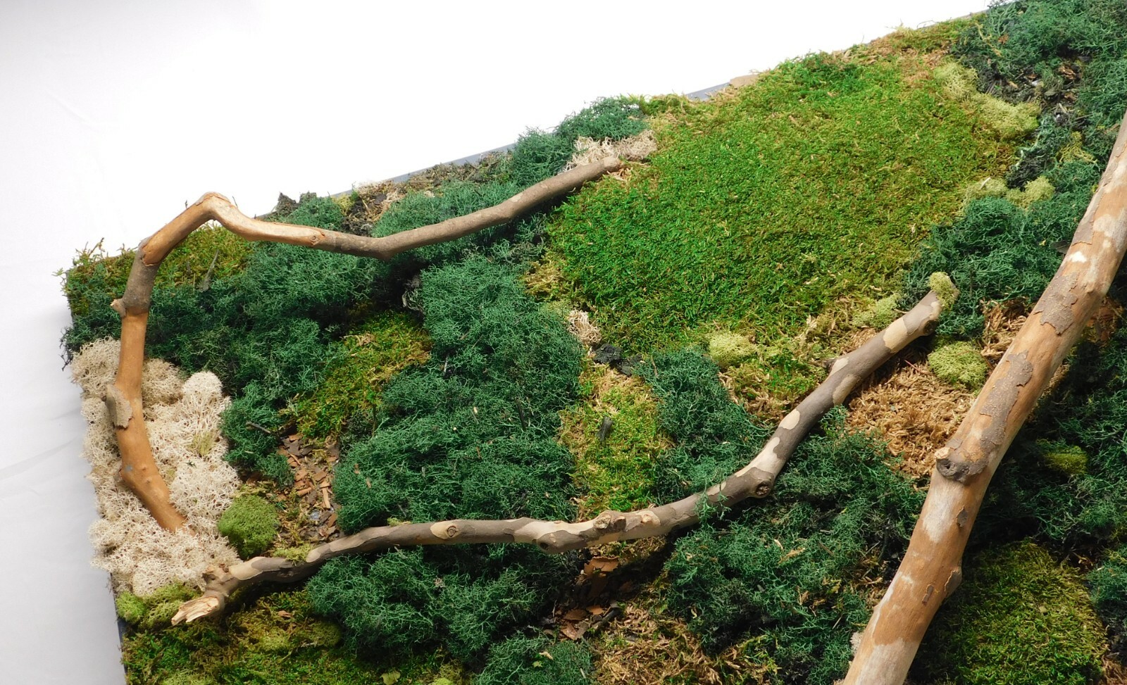 FREE SHIPPING, Large preserved moss wall art with branches, mounted on canvas 