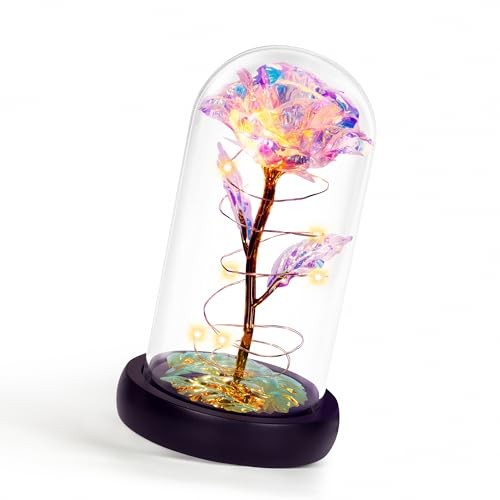 Mothers Day Flowers Gifts for Mom Grandma,Birthday Gifts for Rainbow Medium