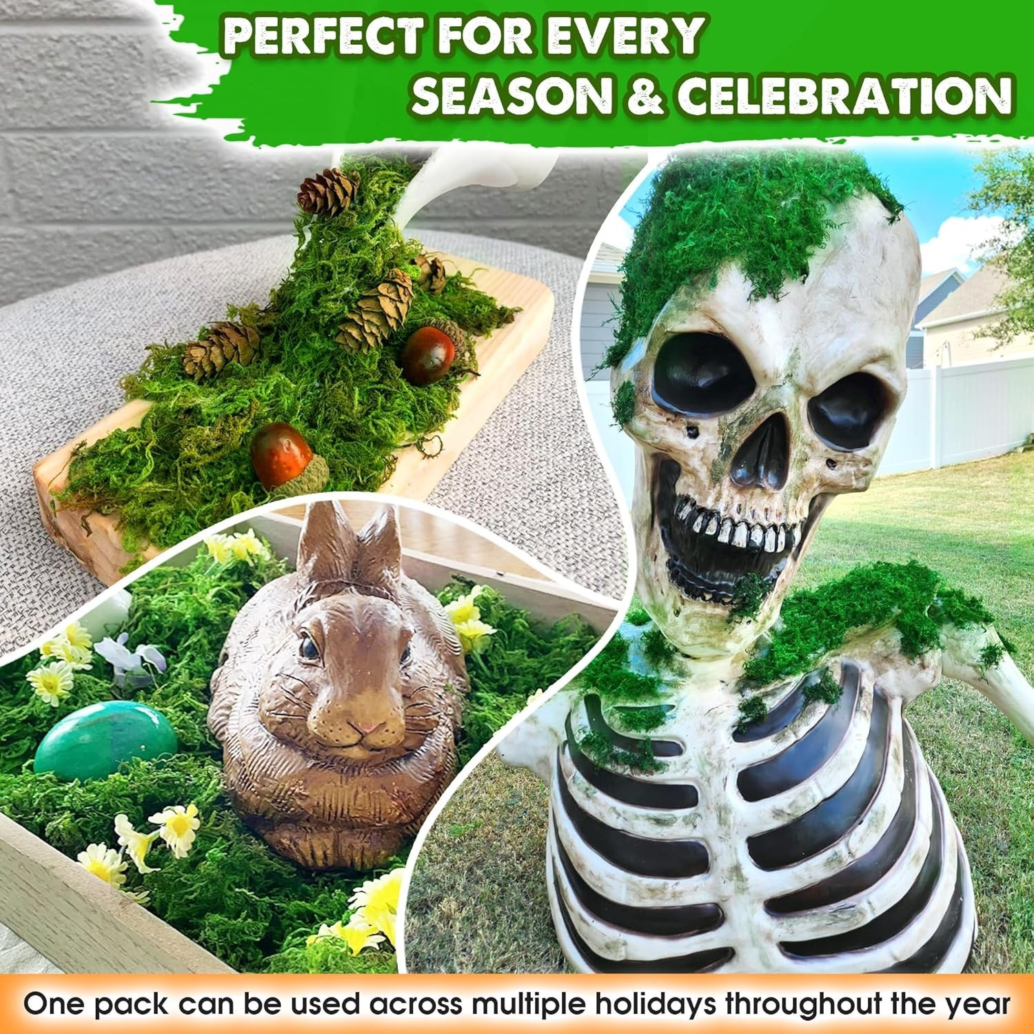 Natural Decorative Moss 2 oz – Perfect for Weddings, Christmas & Easter Decor
