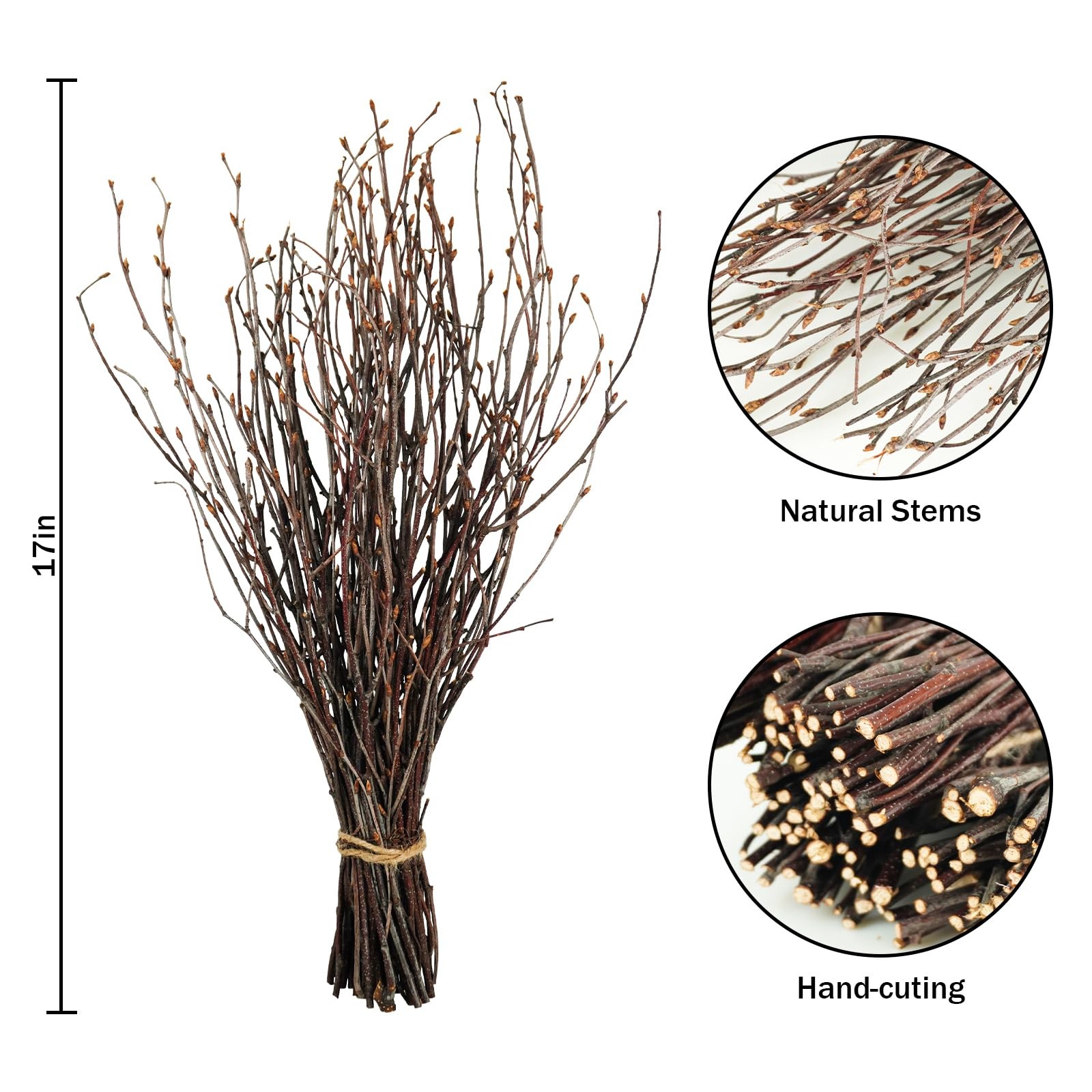 200 PCS Real Dried Birch Branches 17 Inch Twigs Sticks Decorative Vases