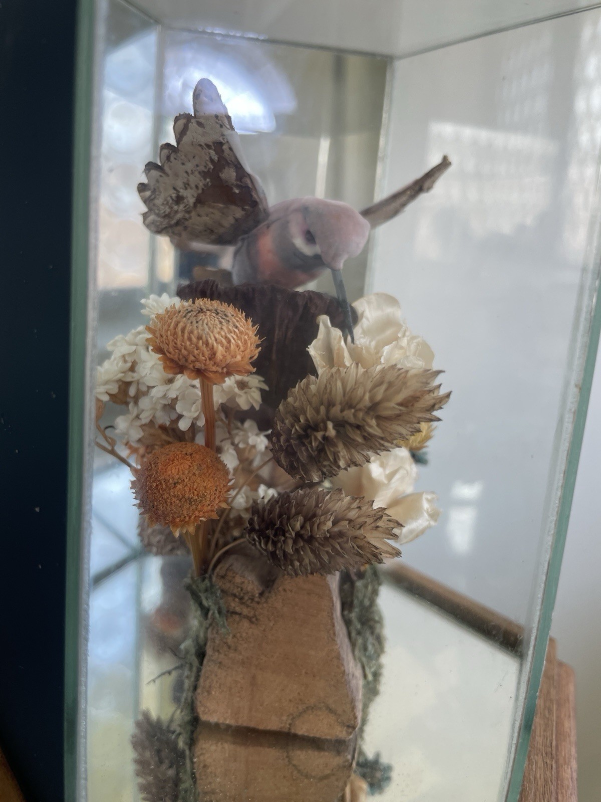 Vintage Faux Hummingbird Hexagonal Glass Display Case Dried Flower Diorama 1970s