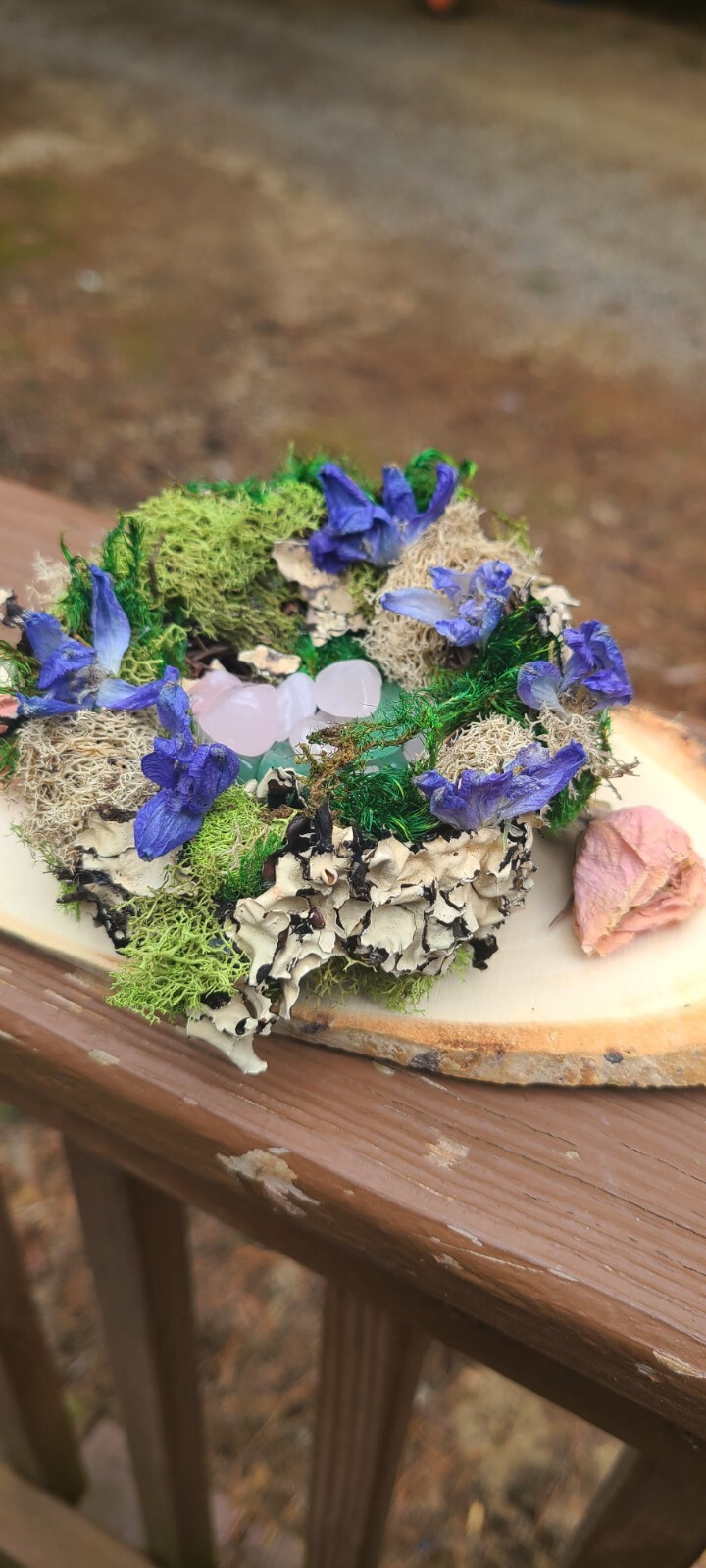 Spring Decor. Bird Nest With Moss Dried Flowers And Crystals. Resting On Wood.