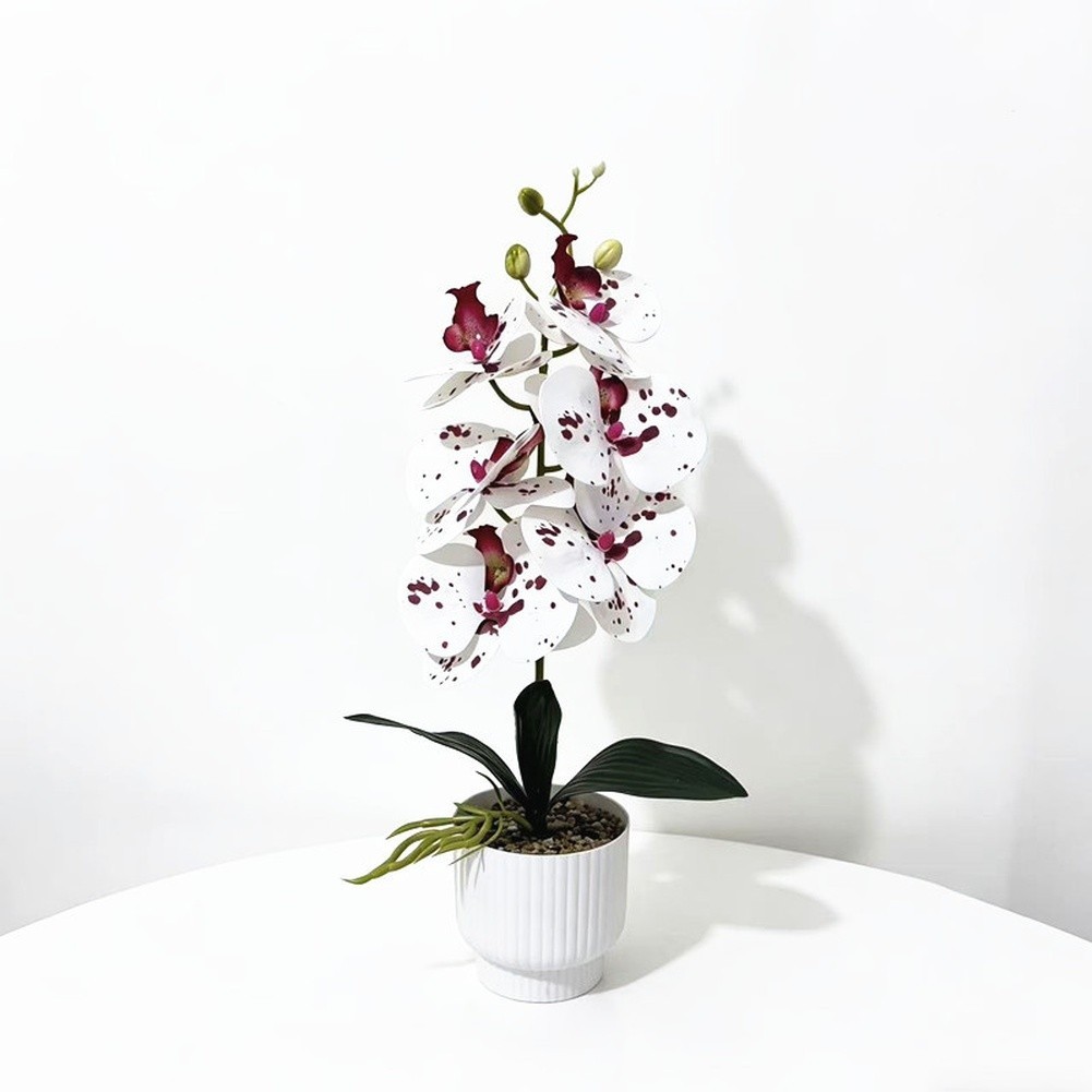 42cm Phalaenopsis Orchid Fake Flower Plastic Stem with Natural Texture
