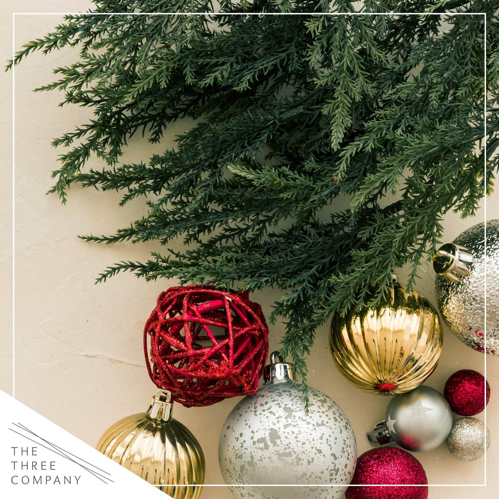 Live Dark Green Cypress Tree – Tabletop Decoration – 12″ Tall by 5″ Wide in D…