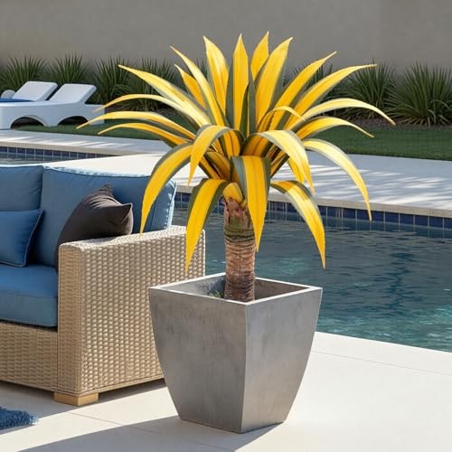Artificial Green Edged Gold Leaf Spiny Agave Plant with 23 31.49in Yellow