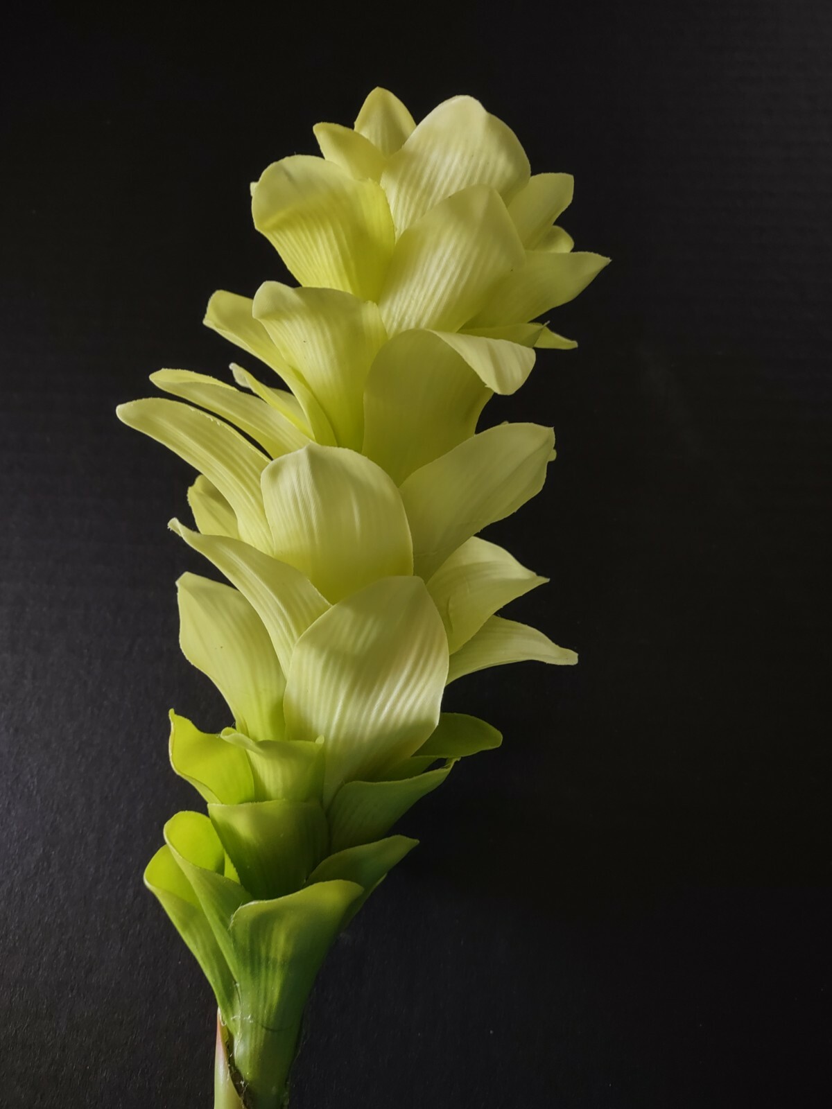 Ginger lily stem. Silk arrangements tropical Hawaiian flowers Lime Green