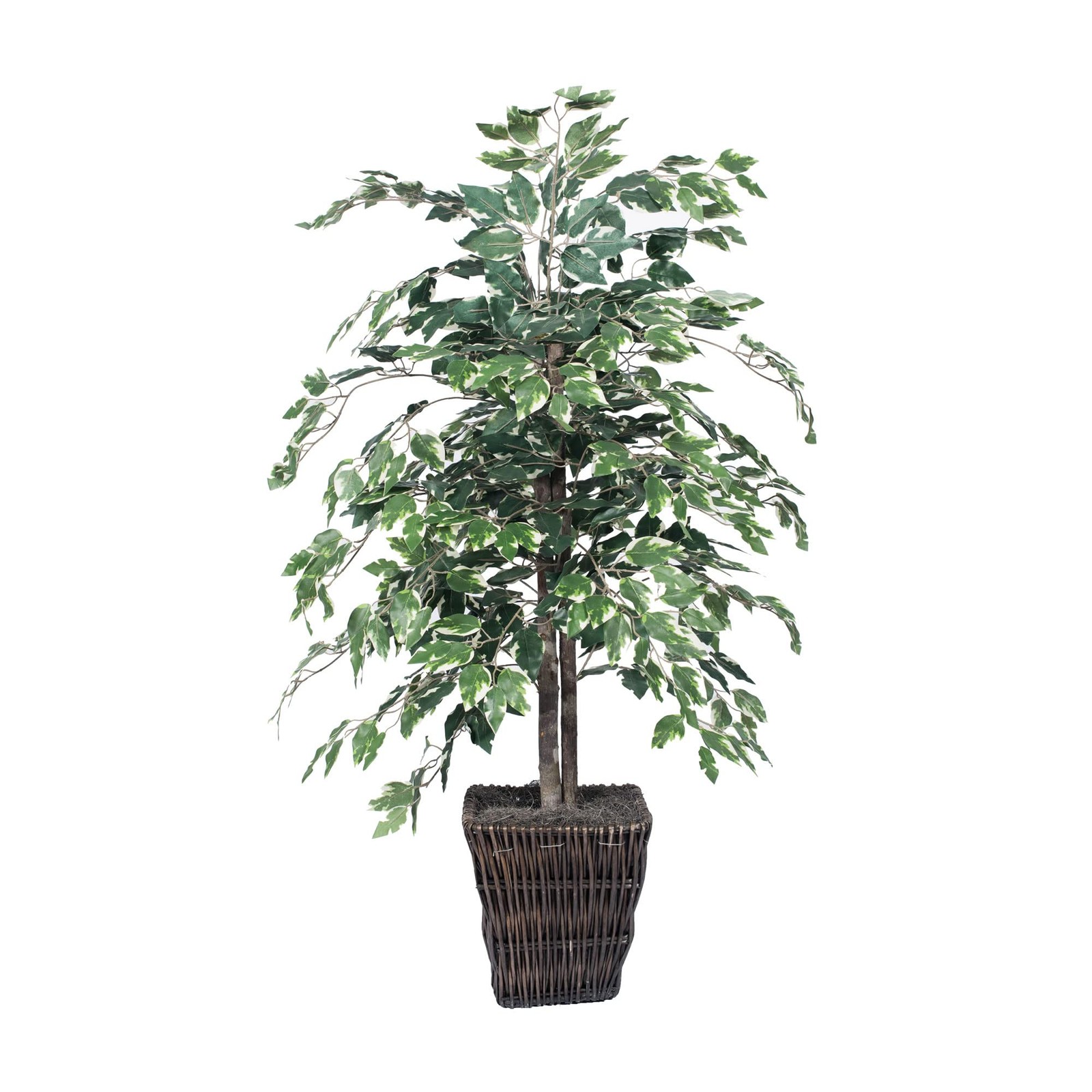 Pemberly Row 4′ Artificial Variegated Ficus Bush w/ Willow Basket in Green/White
