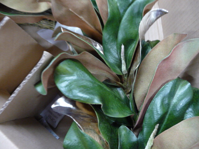 West Elm Metallic Magnolia faux wreath 26″ diameter
