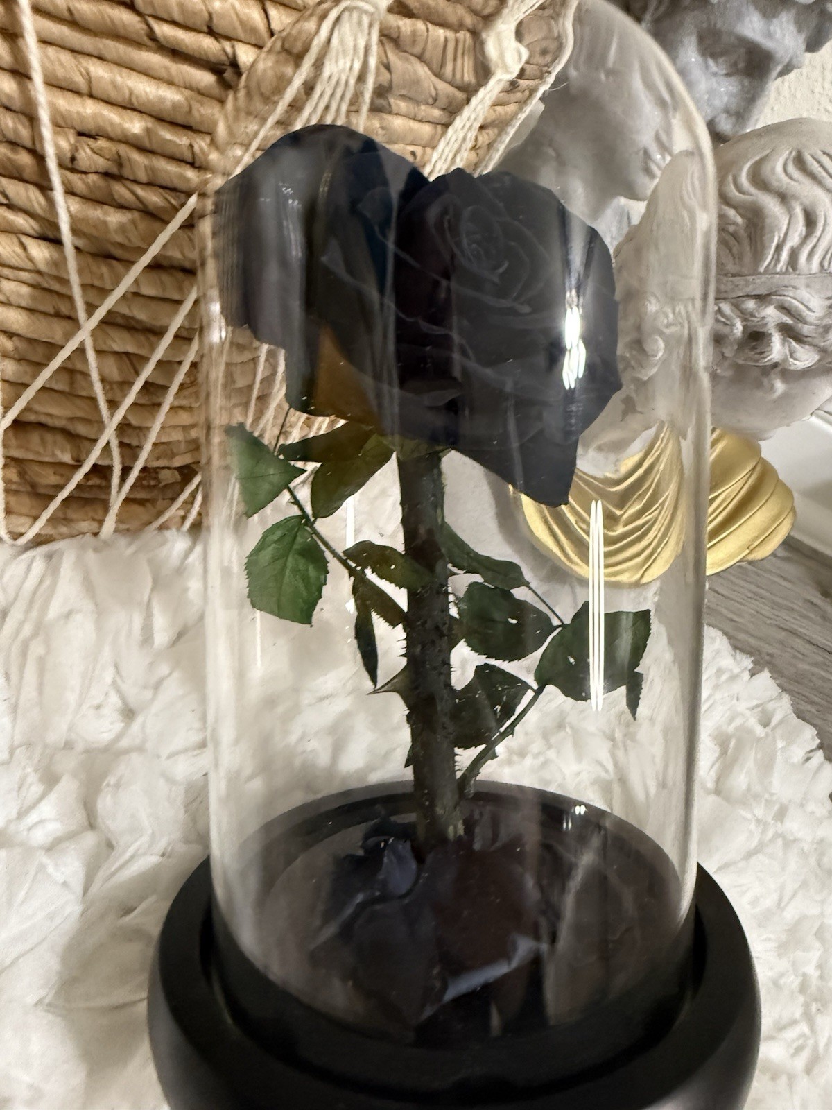 Black Real Rose Preserved Shabby Chic Boho Glass Dome Victorian Gothic Belle