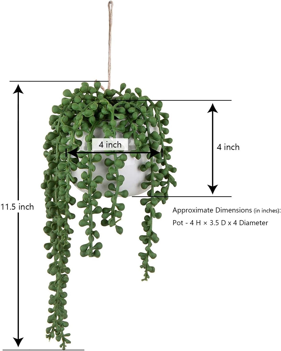 Set of 3 Artificial String of Pearls in White Ceramic Hanging Pots