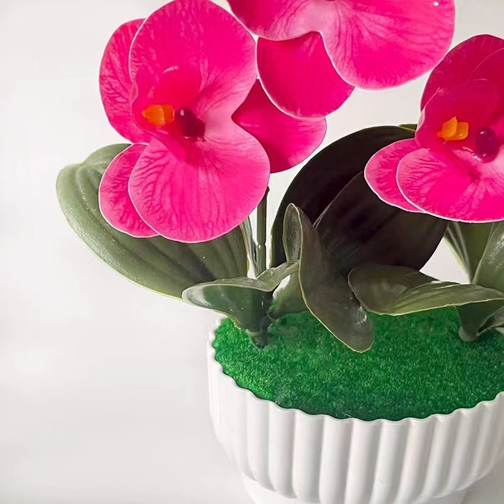 Phalaenopsis Orchid Simulation with Shell Shaped Pot for Home Office Use