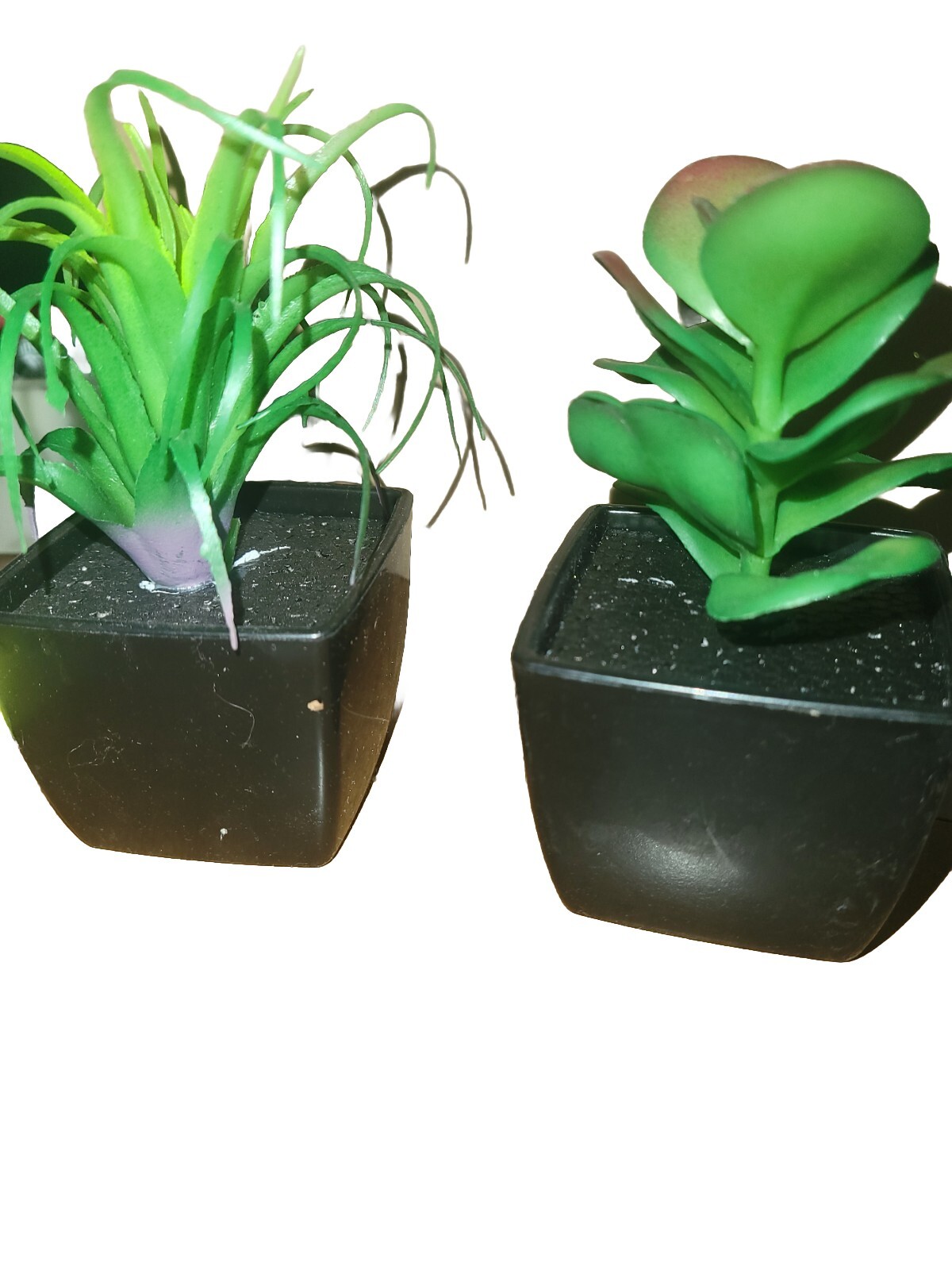 Jade And Tilliandsia Small Fake Plants For Window