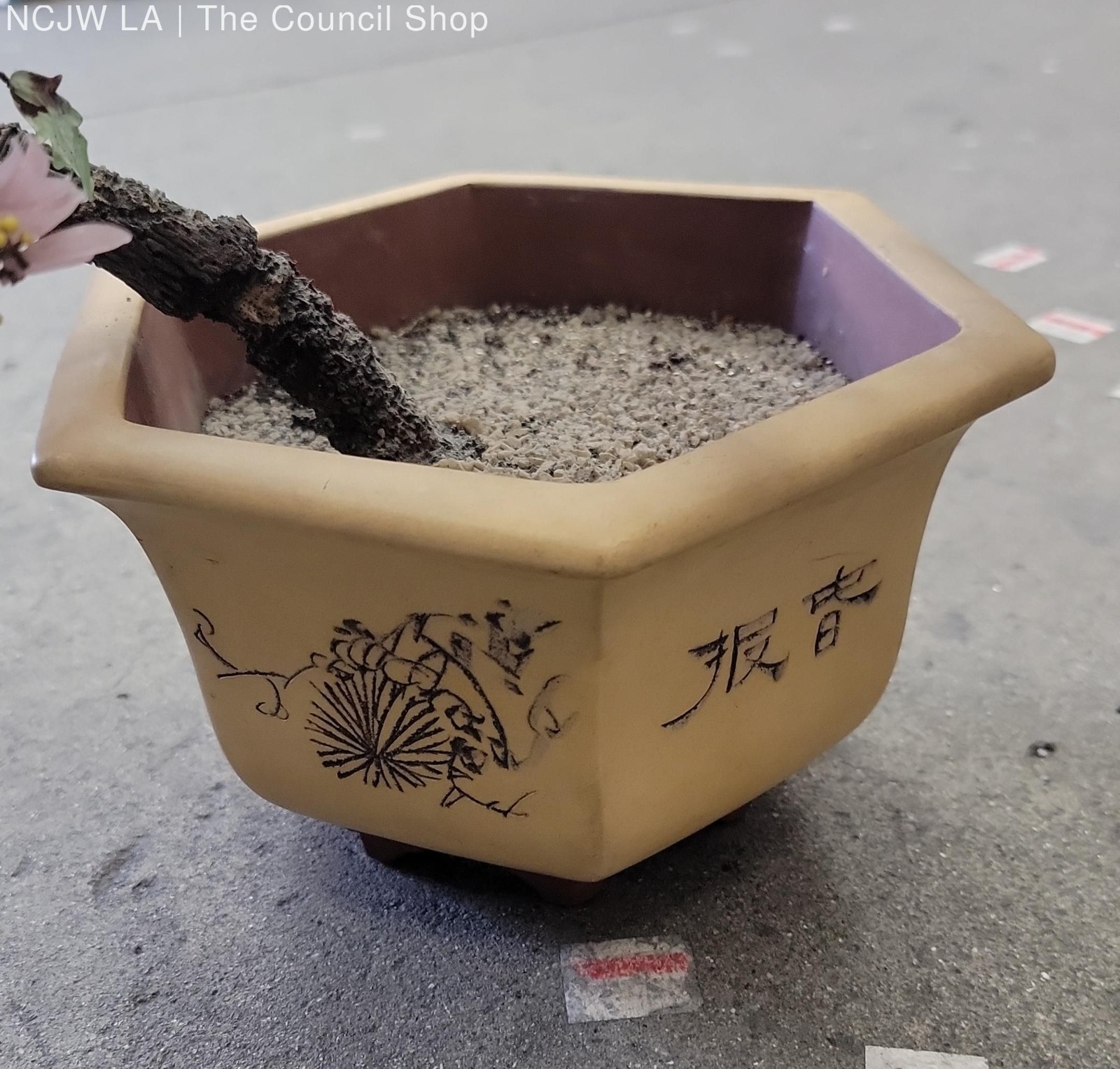 VTG. Jade Bonsai Tree & Hexagon Pot- 16″ high 32″ wide 12″ deep