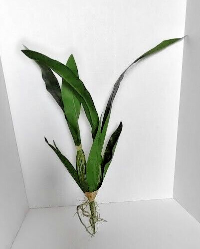Artificial Oncidium orchid leaf bush with roots. Silk orchids.