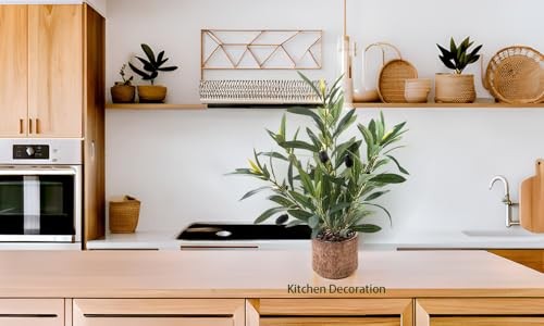 Indoor Fake Olive Plant 12 inch Faux Silk Leaves with Black Rustic Plant a