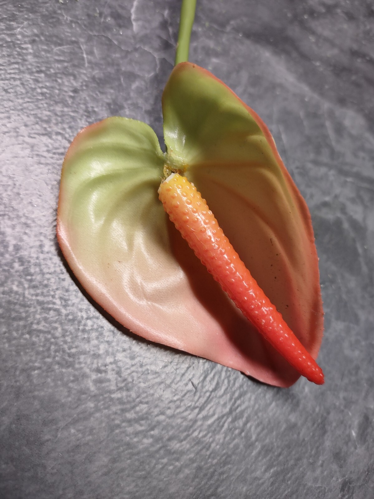25″ MinI Anthurium stem cream/pink. Tropical stems Hawaiian flowers .