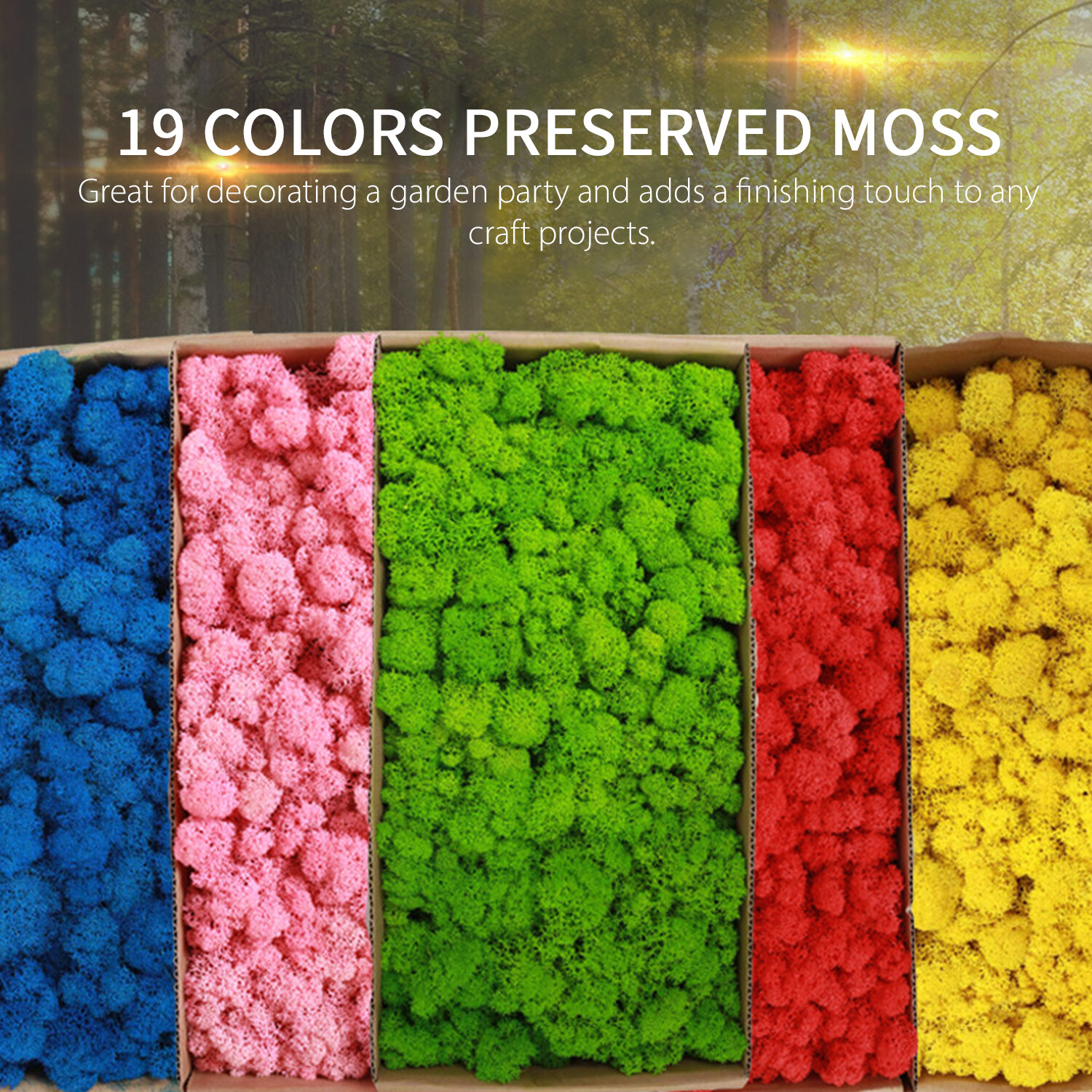 Preserved Moss Wall Decor Real Preserved Moss No Maintenance Required Z4F9