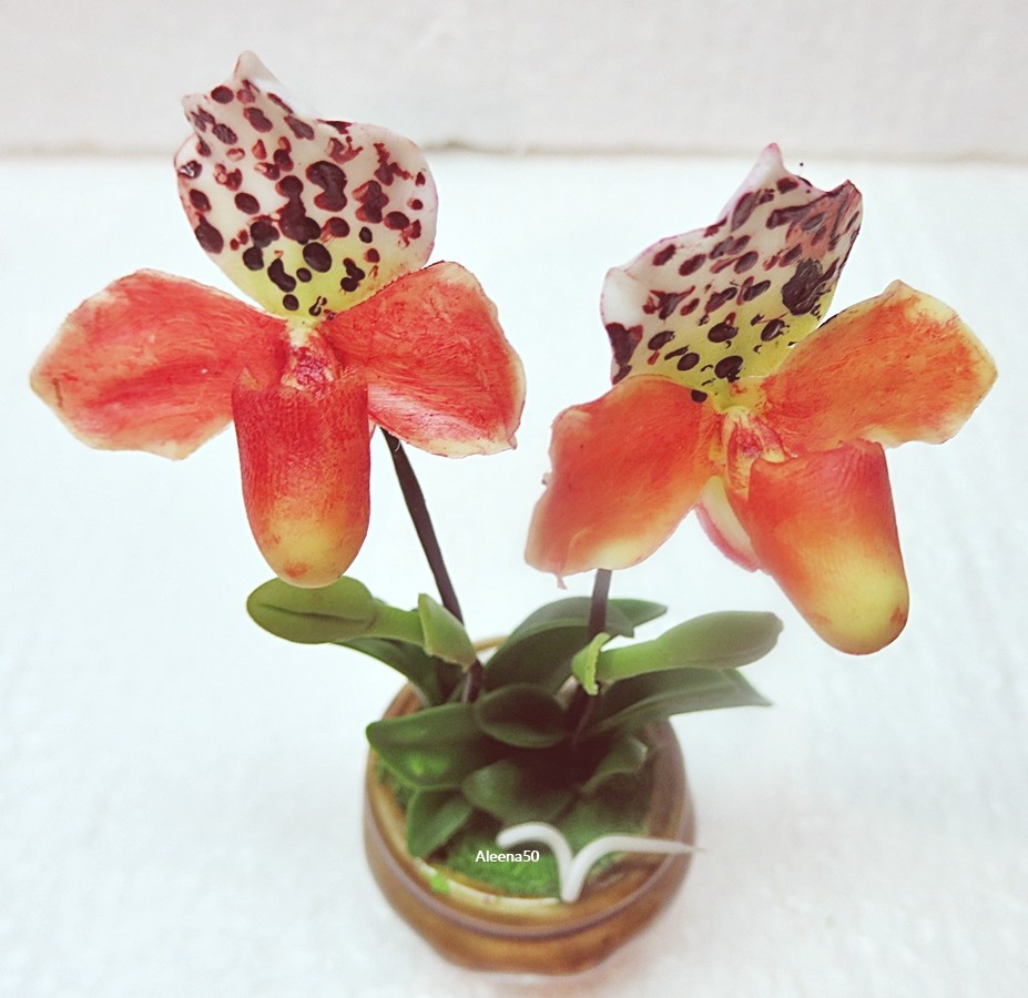 US stock 4″H Handcrafted White w/Spotted & Red Lip Lady Slipper Orchid in Pot