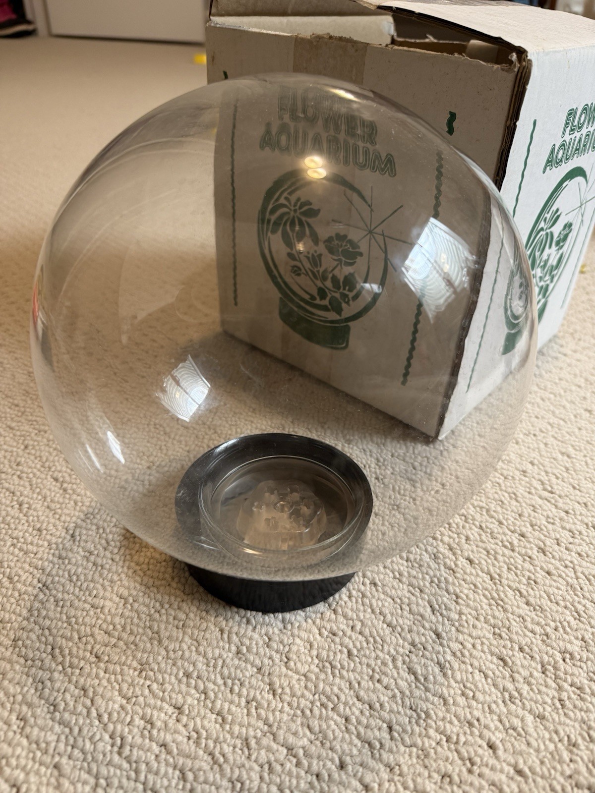 Vintage Flower Glass Globe Aquarium Made In Germany Instructions Included