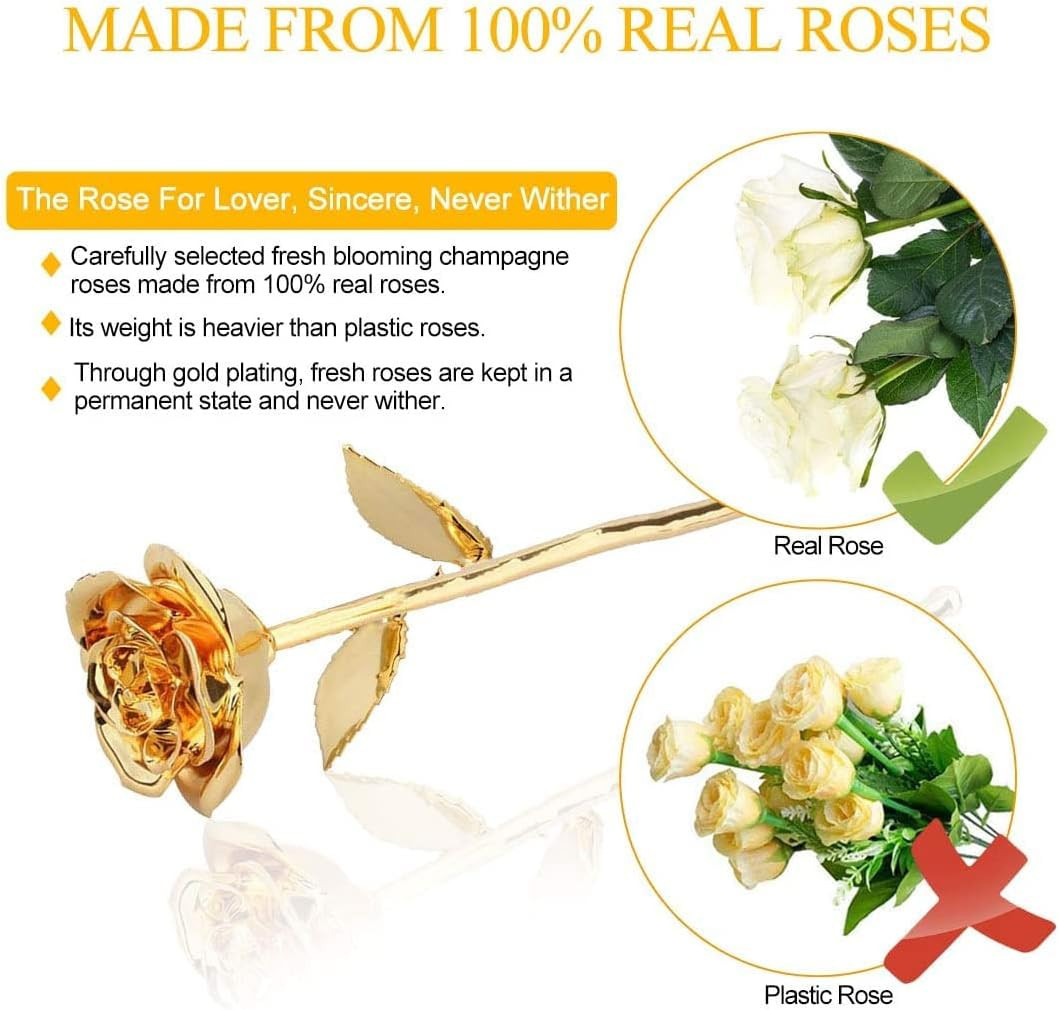 24K Gold Rose for Her, Eternal Love Real Golden Plated Preserved Eternal Rose Fl