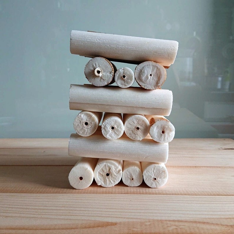 100 Natural sola Sticks 10cm Long and 2-3cm Dia. for DIY sola Flower or Bird Toy