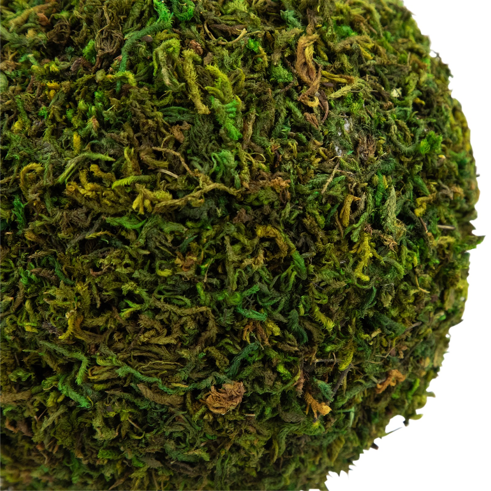 Northlight 15″ Green Reindeer Moss Ball Potted Artificial Spring Topiary Tree
