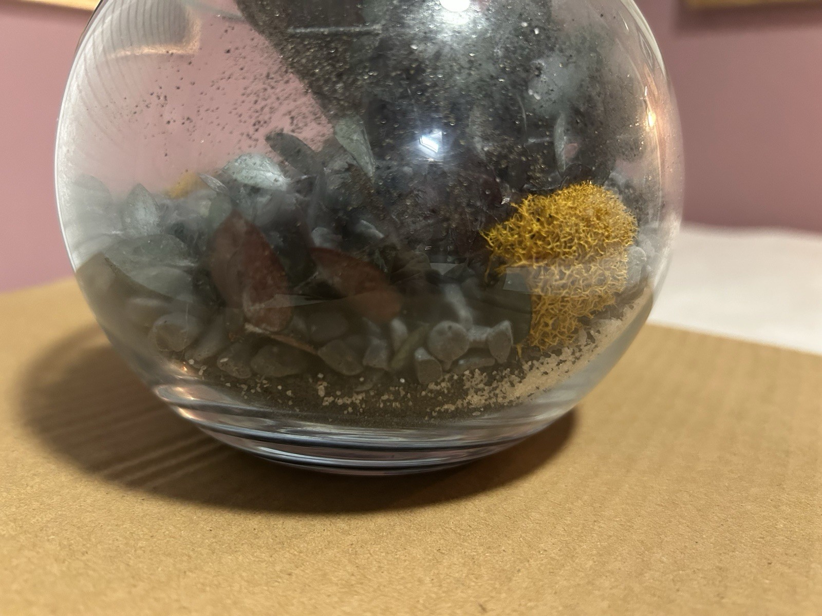 terrarium Glass Globe Sand Gravel Fake plants SpongeShelf Counter Decor Shells