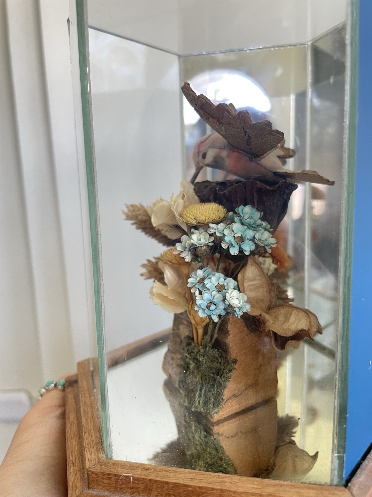 Vintage Faux Hummingbird Hexagonal Glass Display Case Dried Flower Diorama 1970s