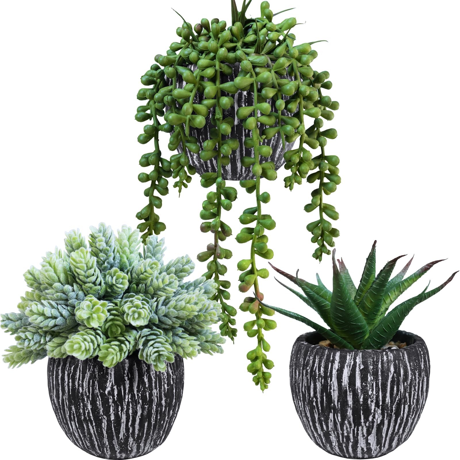 Set of 3 Artificial Succulent Plants in Black Pots Fake Hops Aloe String of P…