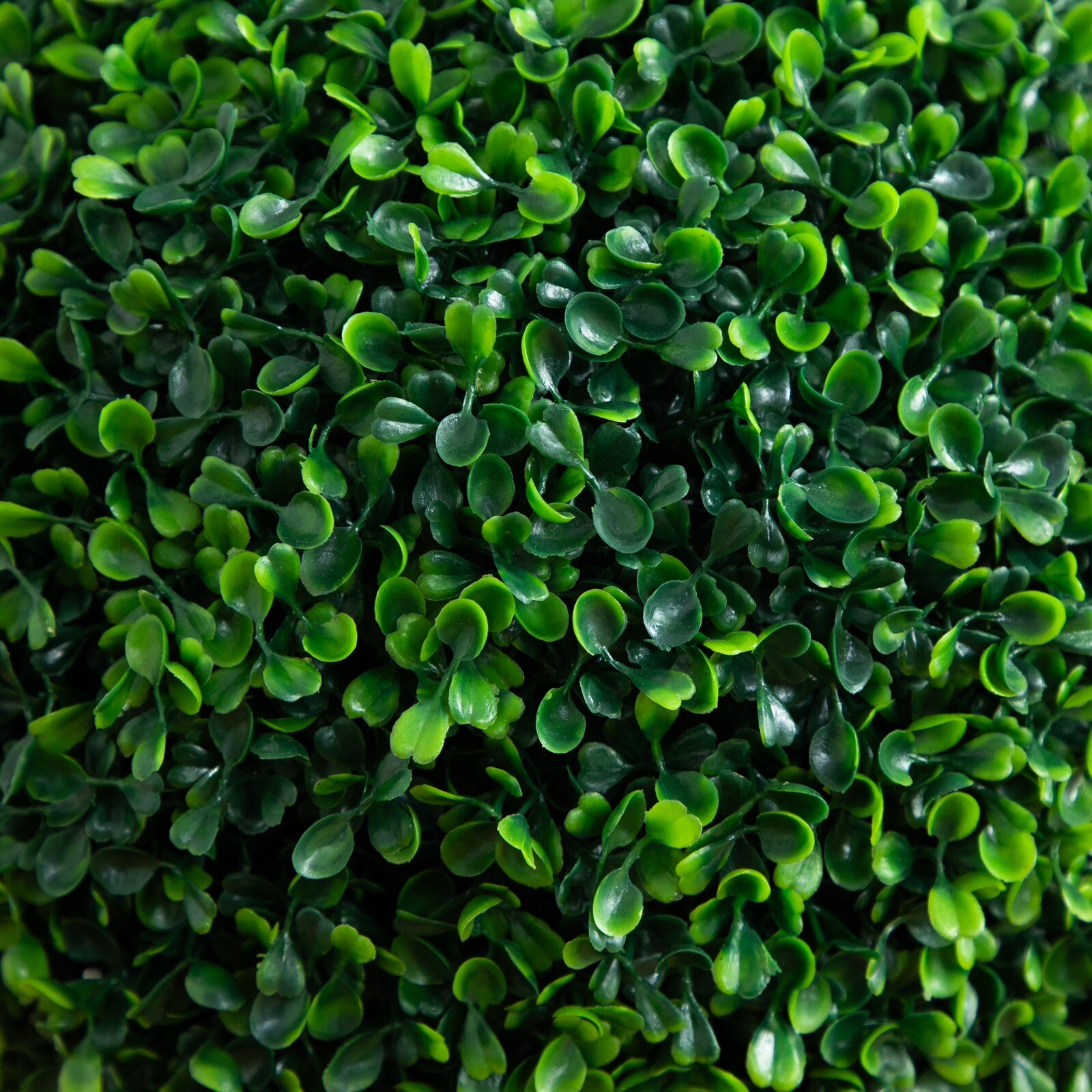 4’ Topiary Boxwood Artificial Double Tree UV (Indoor/Outdoor). Retail $244