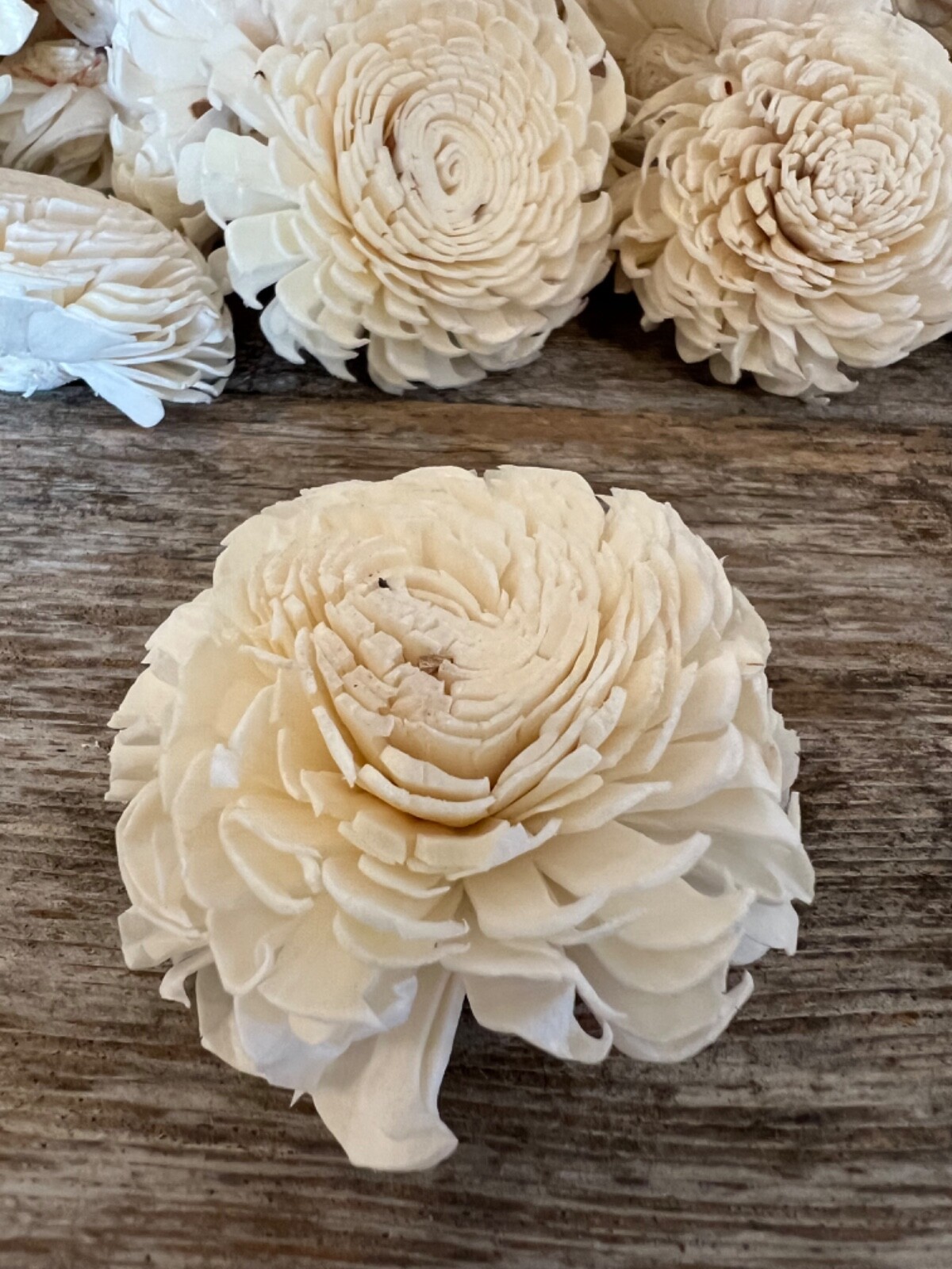 Chorki Belly Sola Wood Flowers – Set of 50 – Craft Flowers