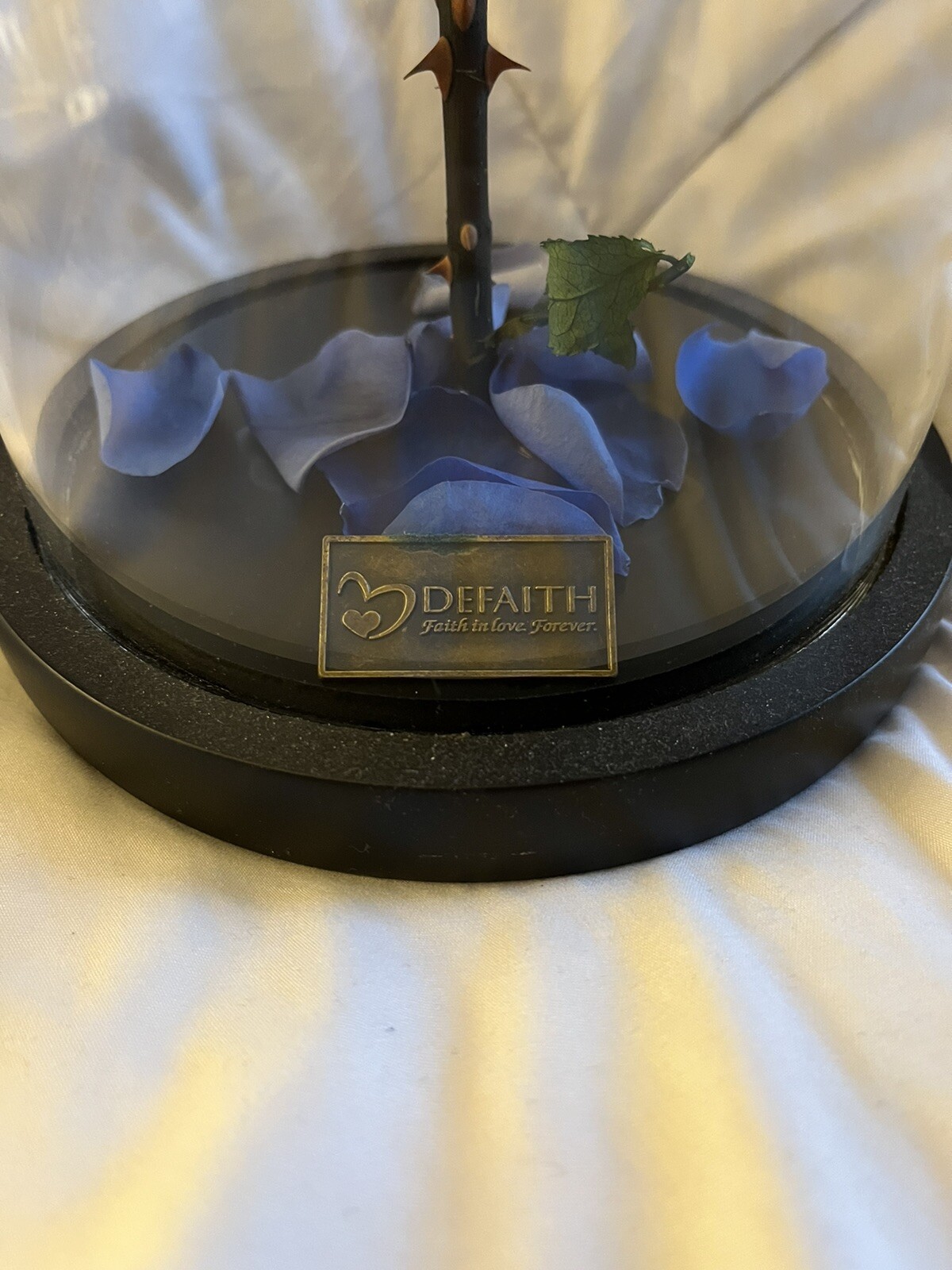 DEFAITH Upgraded Blue Real Rose 9” Beauty and The Beast Rose in Glass Forever