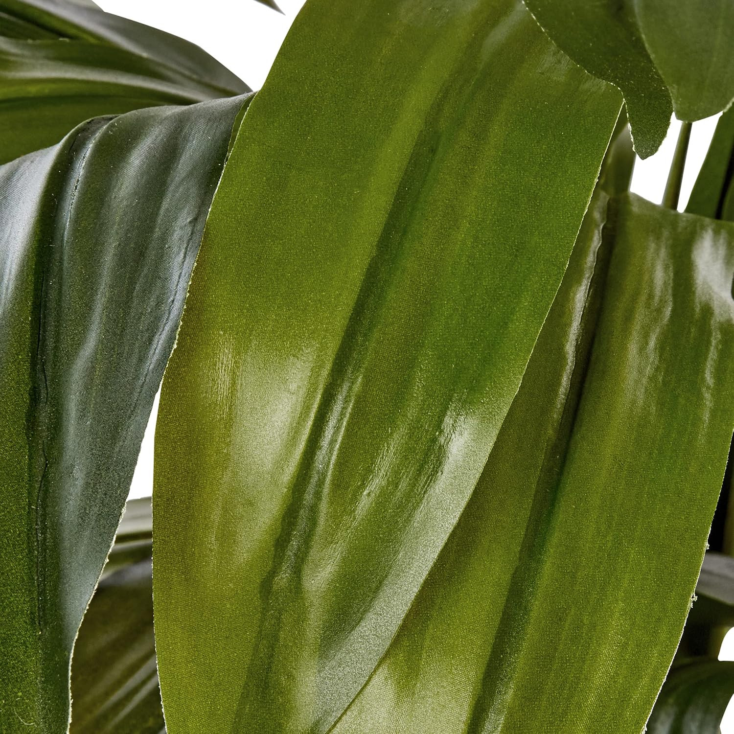 6Ft. Dracaena Silk Plant (Real Touch)
