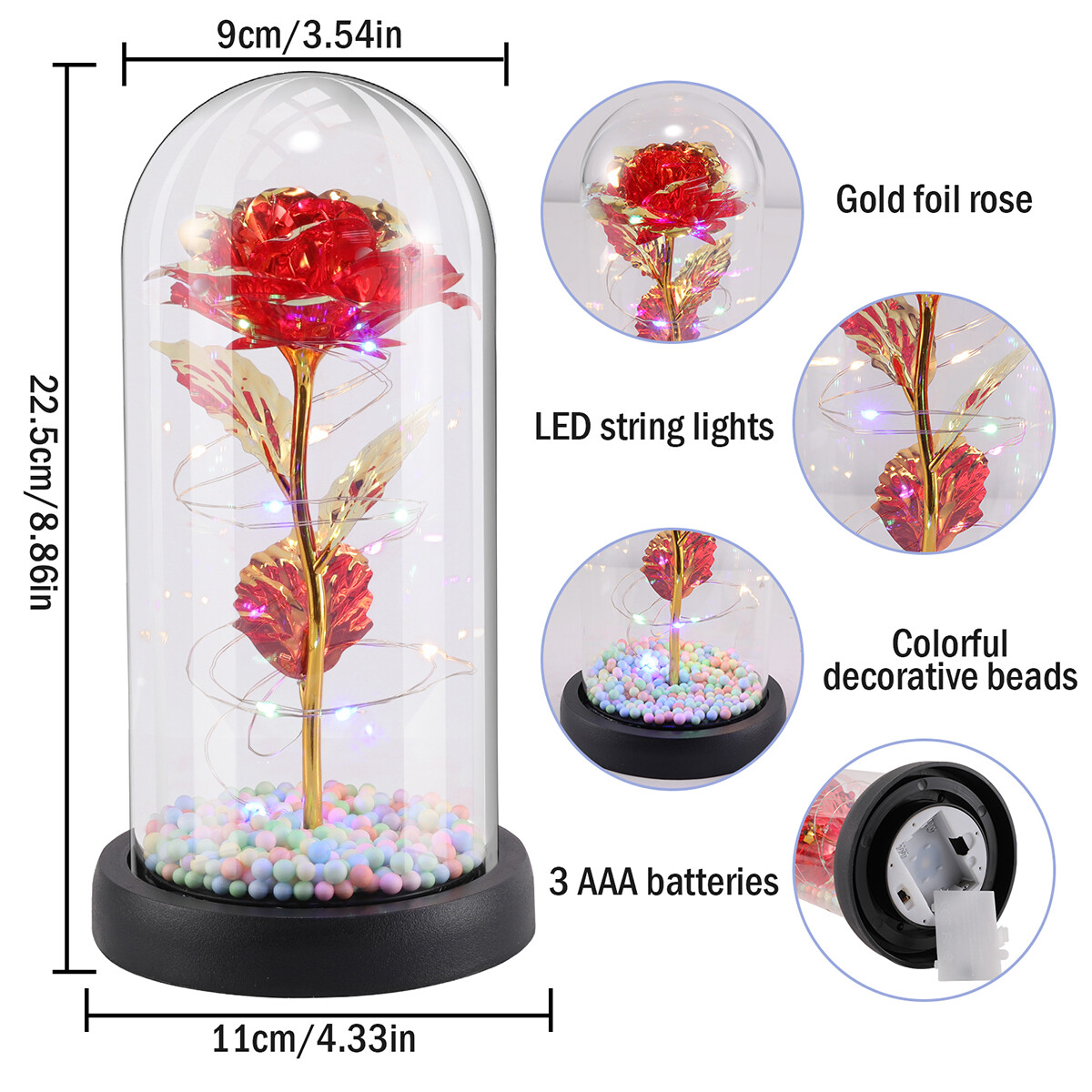 La Rose éternelle illumine le cadeau à la femme décédée dans un dôme de verre