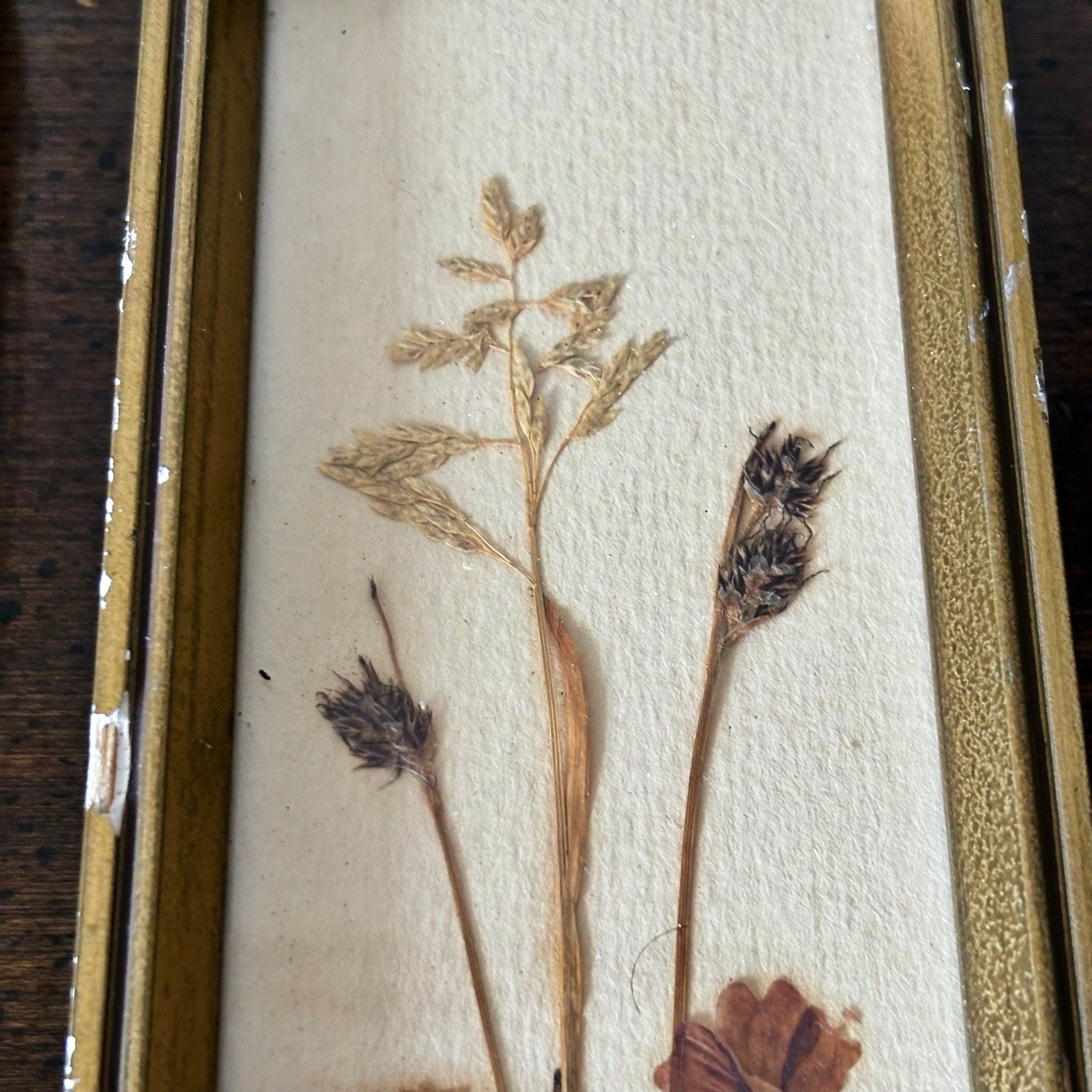 Set Vintage Pressed Flower Framed East Germany 7.5”x2.75” Cottage Core Signed