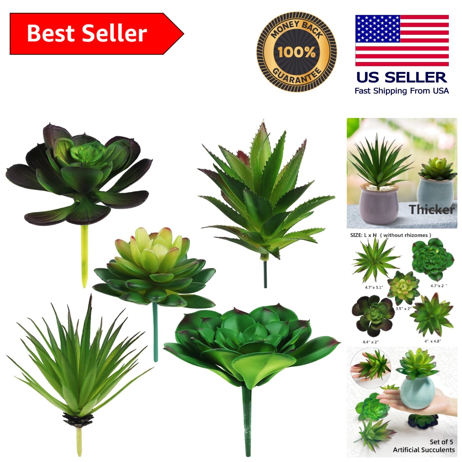 5-Piece Artificial Succulent Set – Perfect for Home, Office, and Events